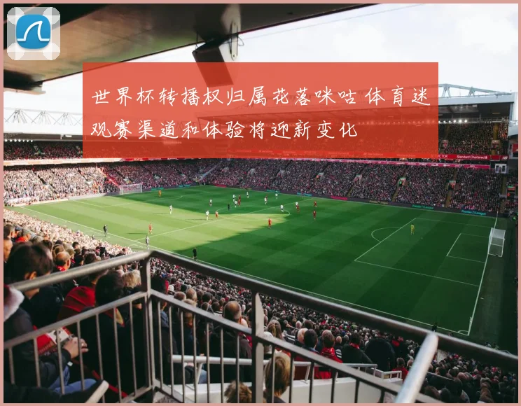 世界杯转播权归属花落咪咕 体育迷观赛渠道和体验将迎新变化