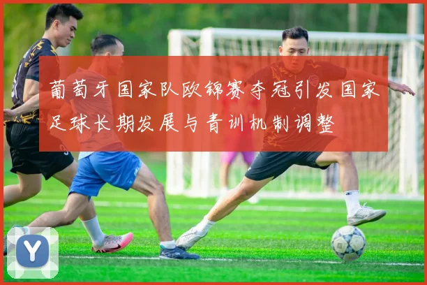 葡萄牙国家队欧锦赛夺冠引发国家足球长期发展与青训机制调整