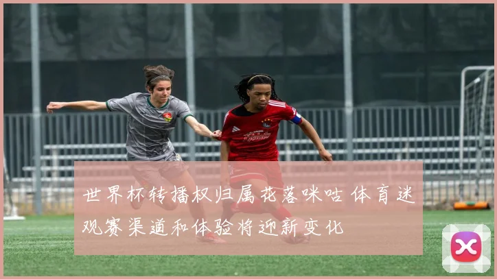 世界杯转播权归属花落咪咕 体育迷观赛渠道和体验将迎新变化