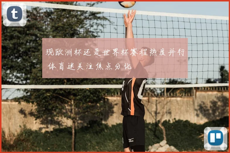 现欧洲杯还是世界杯赛程热度并行 体育迷关注焦点分化
