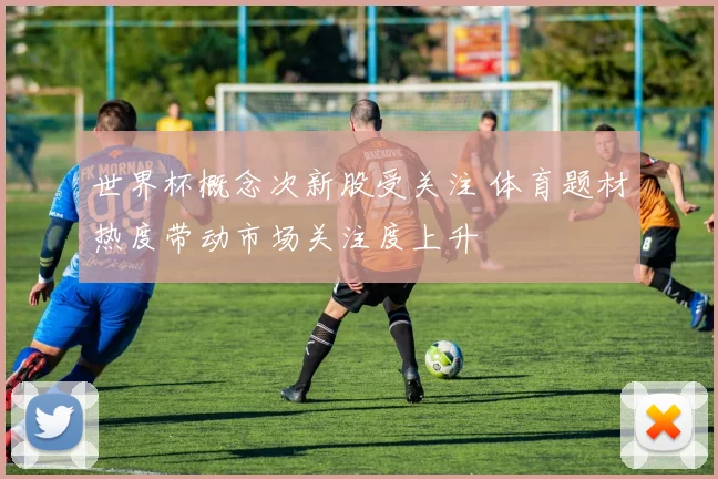 世界杯概念次新股受关注 体育题材热度带动市场关注度上升